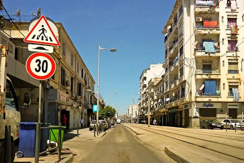 La Prise de Contrôle Silencieuse : Comment les Camions Électriques Chinois Transforment Discrètement la Logistique Urbaine Algérienne en 2026