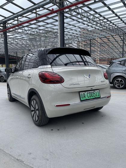 WULING BINGGUO EV - 203km Light Enjoyment Edition