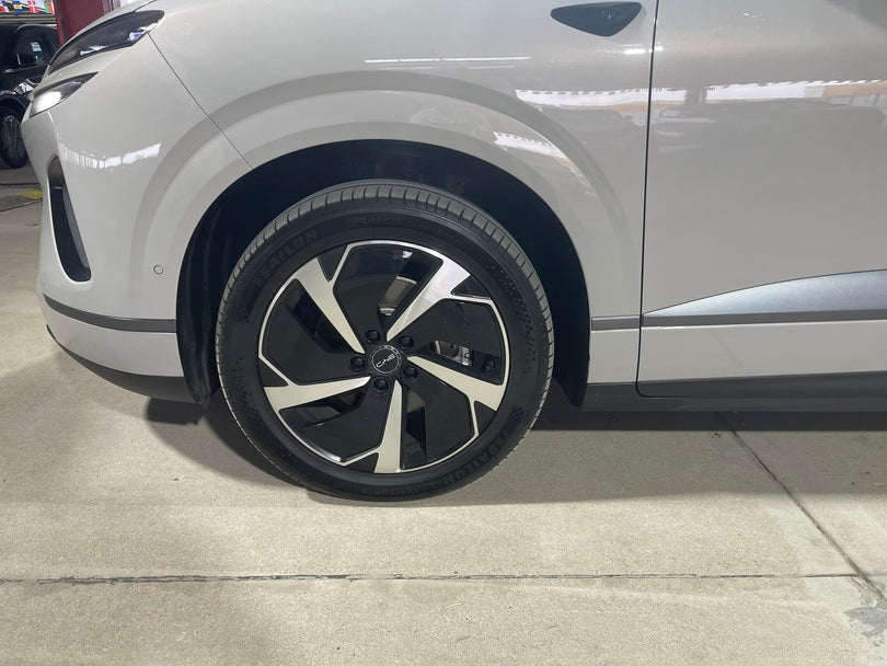 BYD SEA LION O6 EV