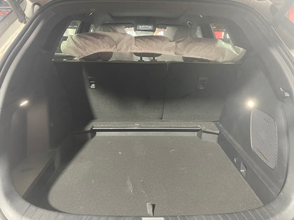 BYD SEA LION O6 EV